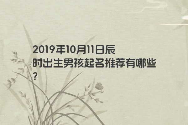 2019年10月11日辰时出生男孩起名推荐有哪些？
