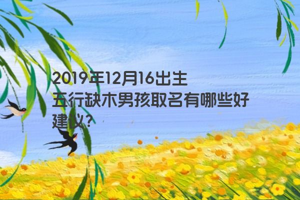 2019年12月16出生五行缺木男孩取名有哪些好建议？