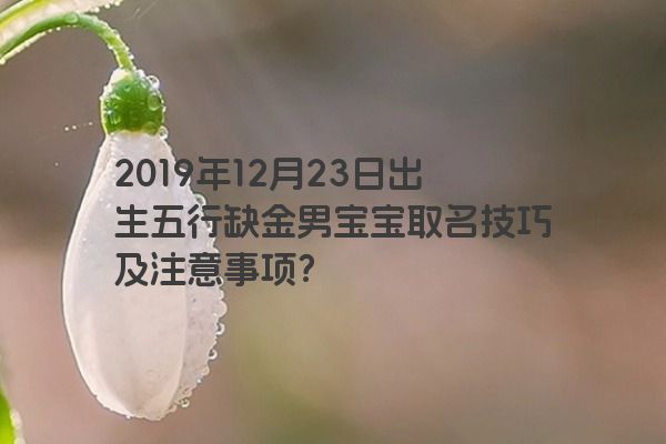 2019年12月23日出生五行缺金男宝宝取名技巧及注意事项？