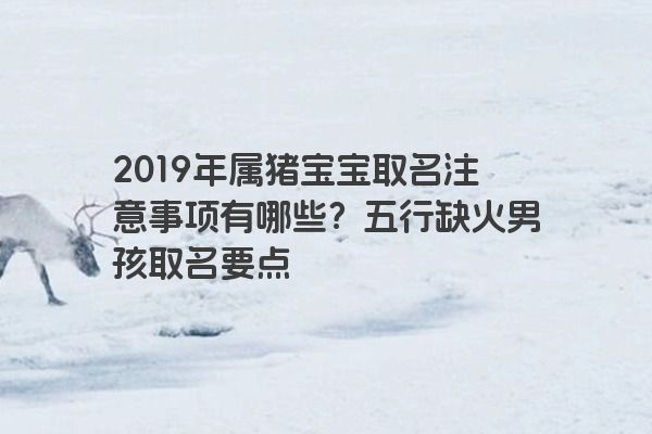 2019年属猪宝宝取名注意事项有哪些？五行缺火男孩取名要点