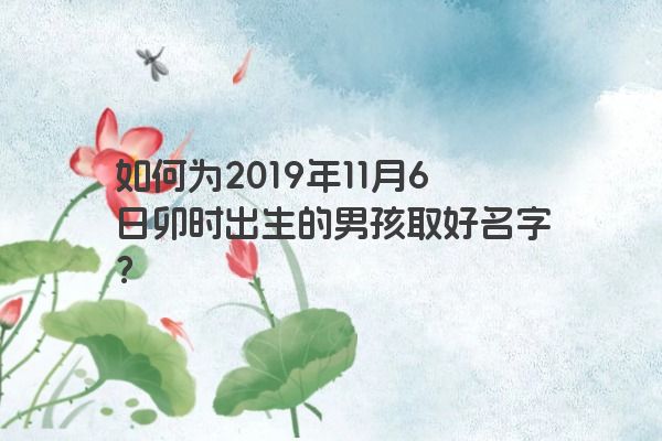 如何为2019年11月6日卯时出生的男孩取好名字？