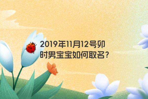 2019年11月12号卯时男宝宝如何取名？