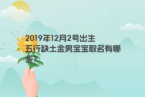 2019年12月2号出生五行缺土金男宝宝取名有哪些？