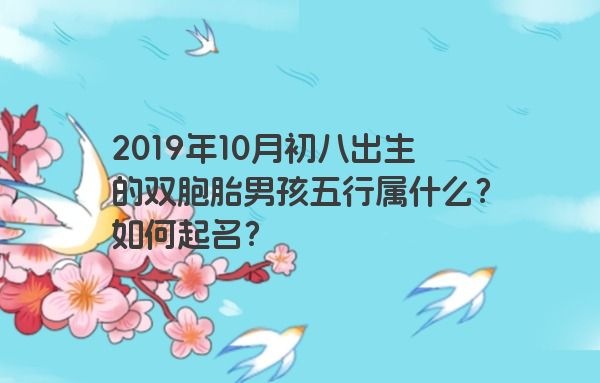 2019年10月初八出生的双胞胎男孩五行属什么？如何起名？