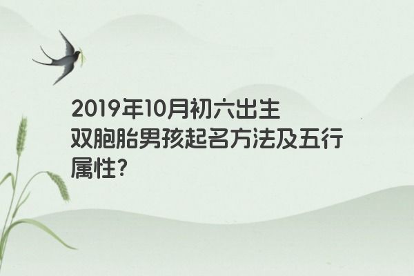 2019年10月初六出生双胞胎男孩起名方法及五行属性？