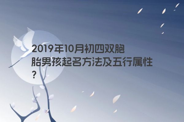 2019年10月初四双胞胎男孩起名方法及五行属性？