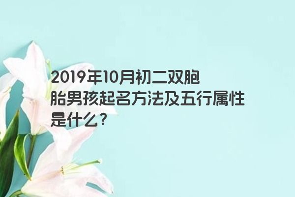 2019年10月初二双胞胎男孩起名方法及五行属性是什么？