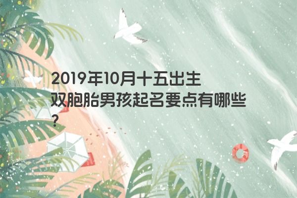 2019年10月十五出生双胞胎男孩起名要点有哪些？