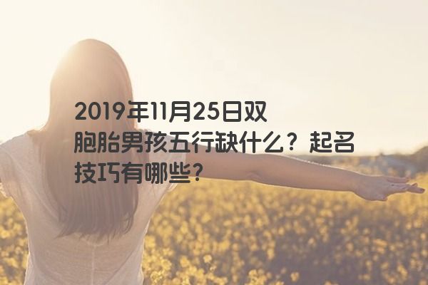 2019年11月25日双胞胎男孩五行缺什么？起名技巧有哪些？