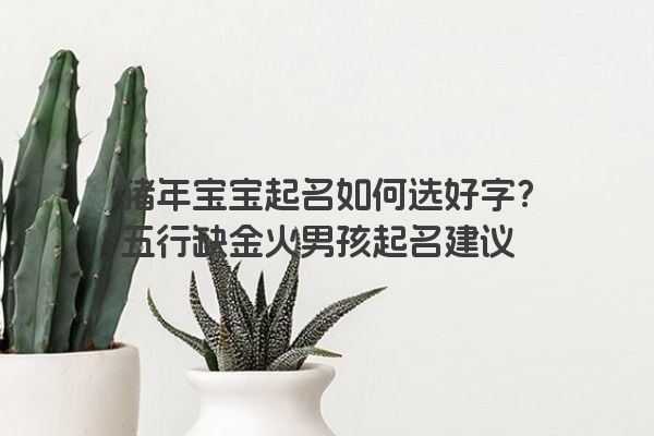 猪年宝宝起名如何选好字？五行缺金火男孩起名建议