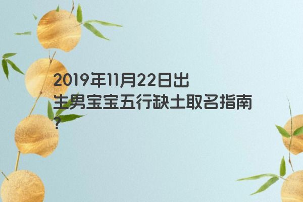 2019年11月22日出生男宝宝五行缺土取名指南？