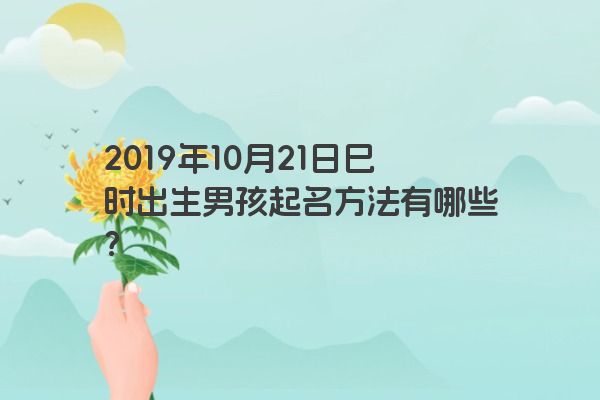 2019年10月21日巳时出生男孩起名方法有哪些？