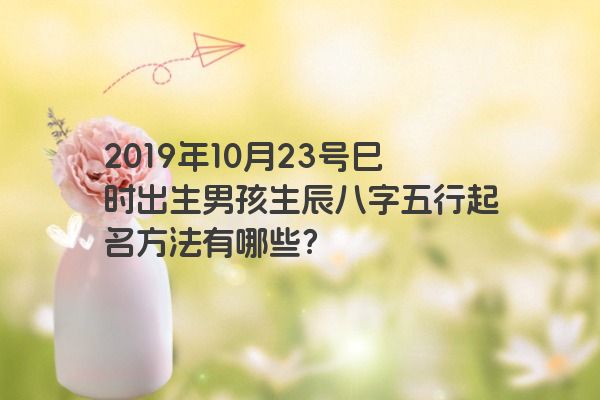 2019年10月23号巳时出生男孩生辰八字五行起名方法有哪些？