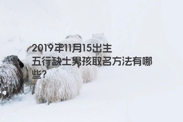 2019年11月15出生五行缺土男孩取名方法有哪些？