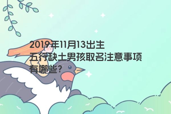 2019年11月13出生五行缺土男孩取名注意事项有哪些？
