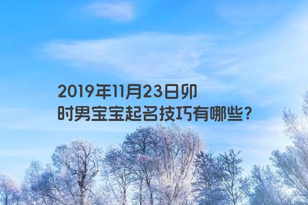 2019年11月23日卯时男宝宝起名技巧有哪些？