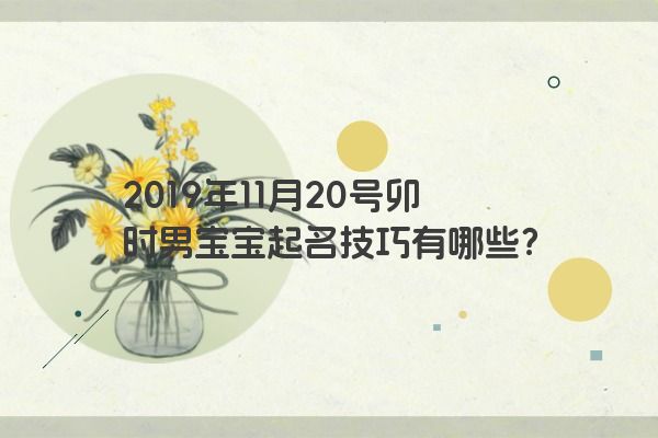 2019年11月20号卯时男宝宝起名技巧有哪些？