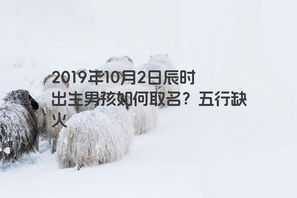 2019年10月2日辰时出生男孩如何取名？五行缺火