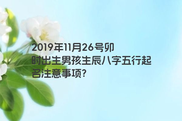 2019年11月26号卯时出生男孩生辰八字五行起名注意事项？