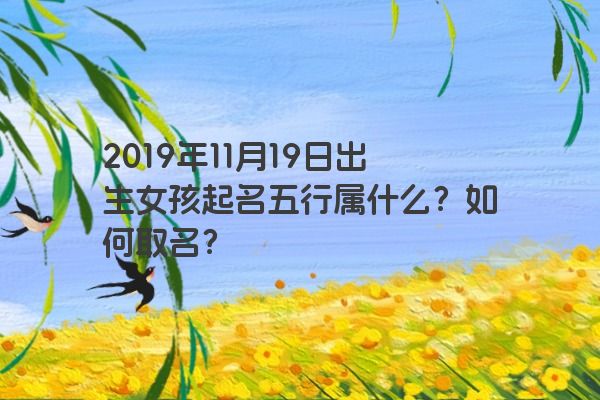 2019年11月19日出生女孩起名五行属什么？如何取名？