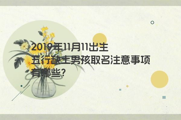2019年11月11出生五行缺土男孩取名注意事项有哪些？
