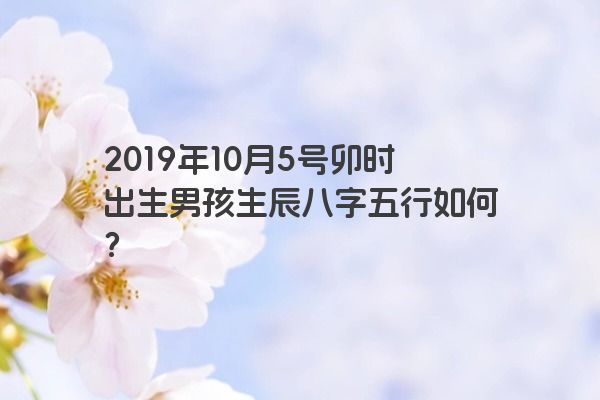 2019年10月5号卯时出生男孩生辰八字五行如何？