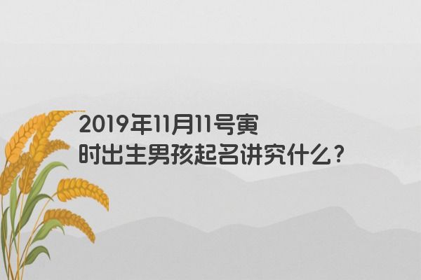 2019年11月11号寅时出生男孩起名讲究什么？