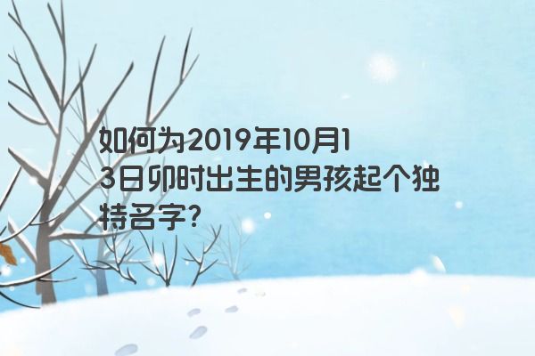 如何为2019年10月13日卯时出生的男孩起个独特名字？