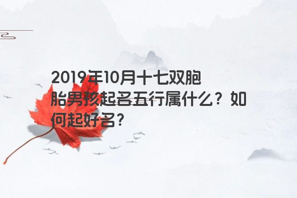 2019年10月十七双胞胎男孩起名五行属什么？如何起好名？