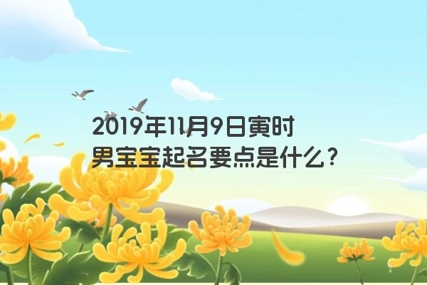2019年11月9日寅时男宝宝起名要点是什么？