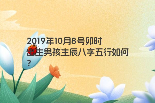 2019年10月8号卯时出生男孩生辰八字五行如何？
