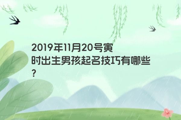 2019年11月20号寅时出生男孩起名技巧有哪些？