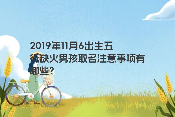 2019年11月6出生五行缺火男孩取名注意事项有哪些？