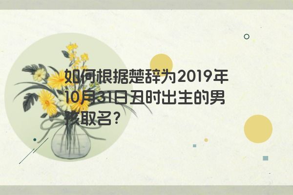 如何根据楚辞为2019年10月31日丑时出生的男孩取名？