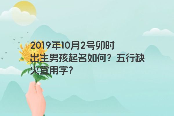 2019年10月2号卯时出生男孩起名如何？五行缺火宜用字？