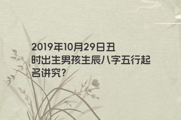 2019年10月29日丑时出生男孩生辰八字五行起名讲究？