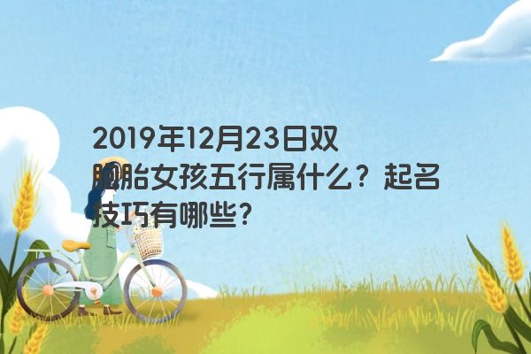 2019年12月23日双胞胎女孩五行属什么？起名技巧有哪些？