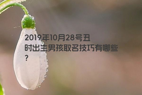 2019年10月28号丑时出生男孩取名技巧有哪些？
