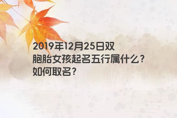 2019年12月25日双胞胎女孩起名五行属什么？如何取名？