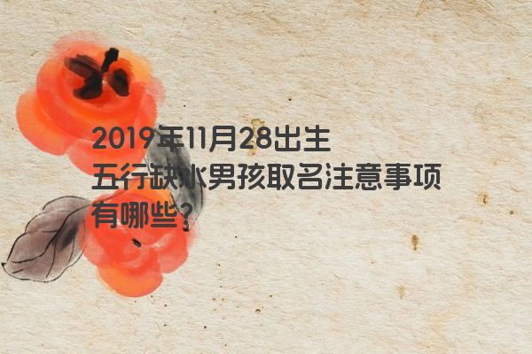 2019年11月28出生五行缺水男孩取名注意事项有哪些？