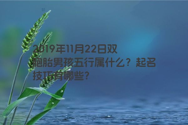 2019年11月22日双胞胎男孩五行属什么？起名技巧有哪些？
