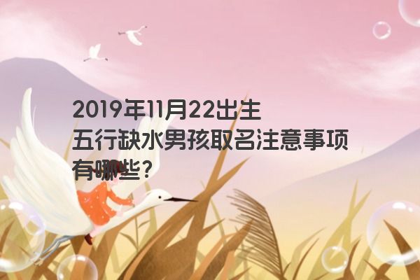 2019年11月22出生五行缺水男孩取名注意事项有哪些？