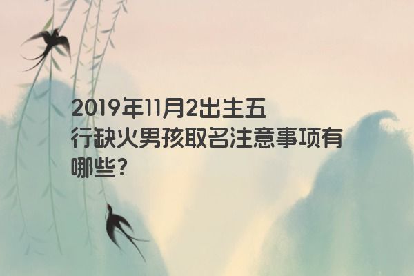 2019年11月2出生五行缺火男孩取名注意事项有哪些？
