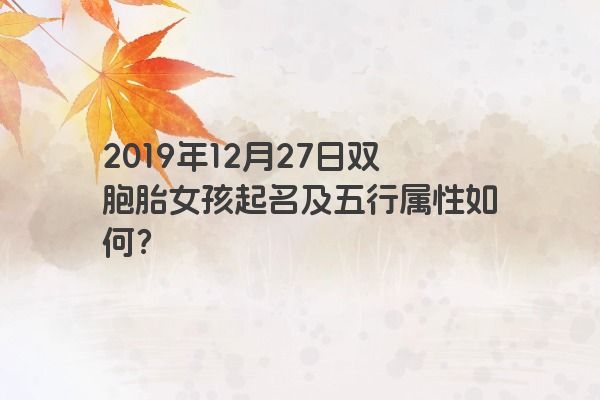 2019年12月27日双胞胎女孩起名及五行属性如何？