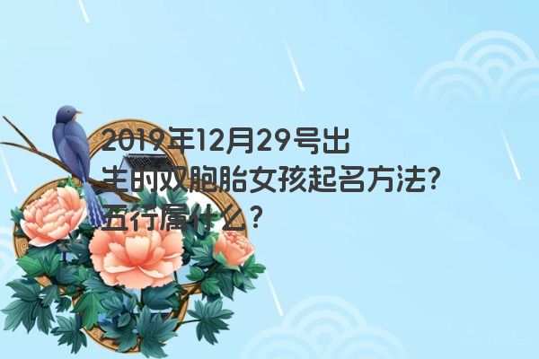 2019年12月29号出生的双胞胎女孩起名方法？五行属什么？