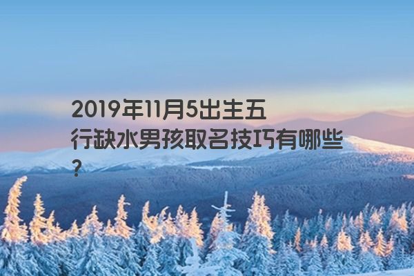 2019年11月5出生五行缺水男孩取名技巧有哪些？