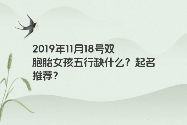 2019年11月18号双胞胎女孩五行缺什么？起名推荐？