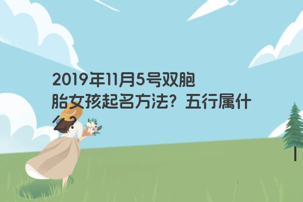 2019年11月5号双胞胎女孩起名方法？五行属什么？