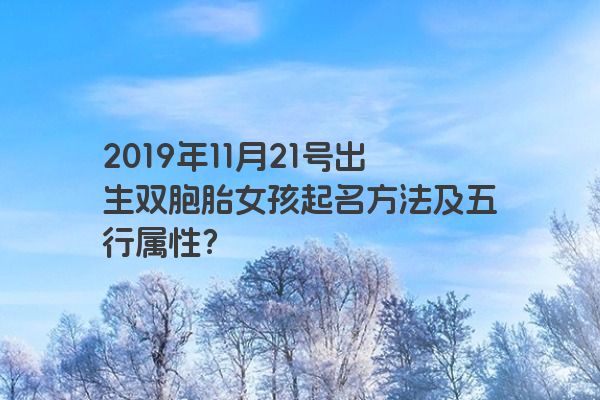 2019年11月21号出生双胞胎女孩起名方法及五行属性？