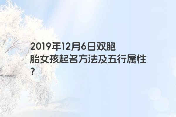 2019年12月6日双胞胎女孩起名方法及五行属性？